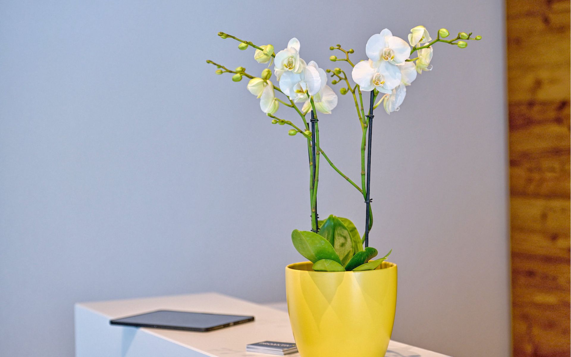 PROAKTIV Privatpraxis für Physiotherapie in Kirchzarten im Dreisamtal