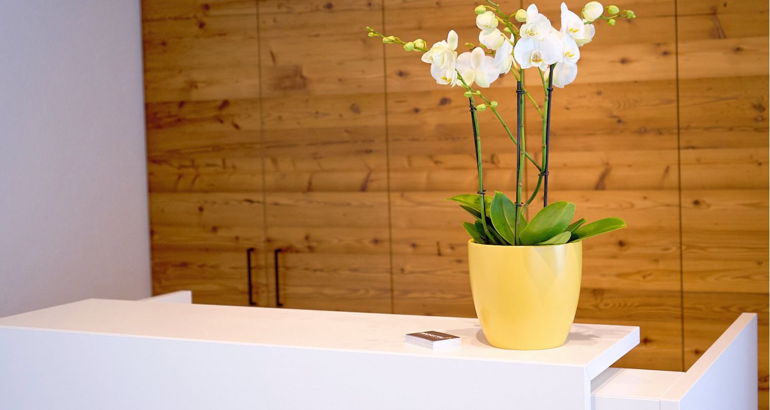 Physiotherapie Kirchzarten Privatpraxis