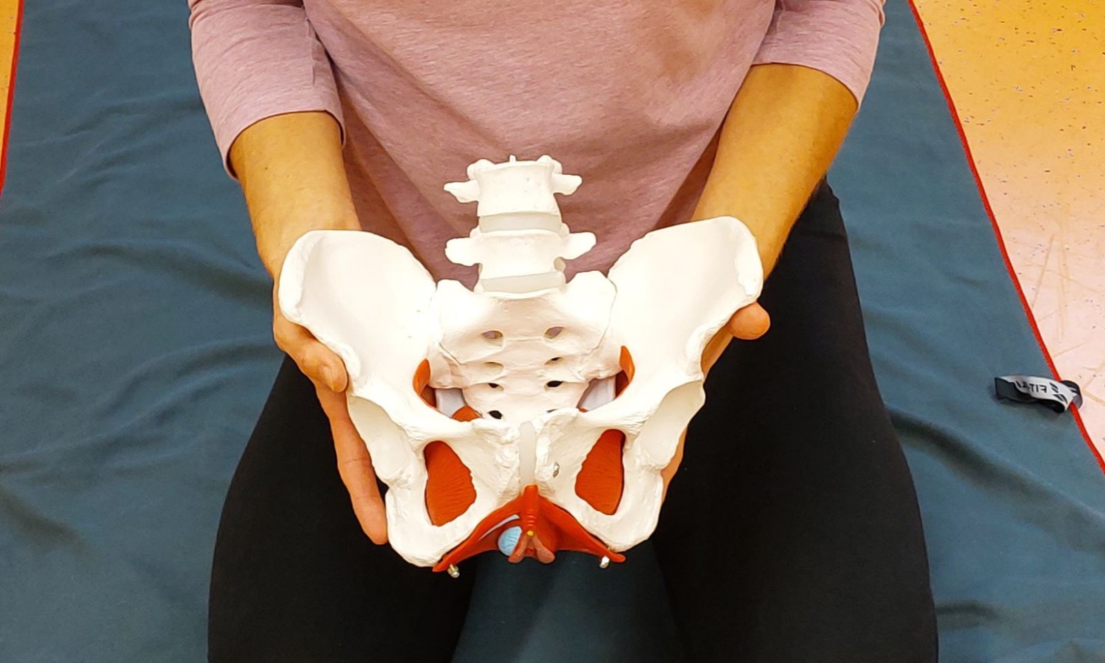 Sabrina Kaindl Gründerin der Privatpraxis PROAKTIV Physiotherapie in Kirchzarten im Dreisamtal gibt Kurse beim SV Kirchzarten